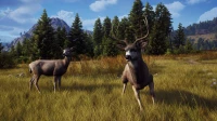 4. Way of the Hunter - Hunting Season One PL (PS5)